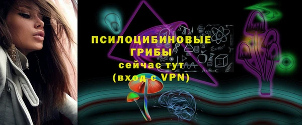 СК Абаза