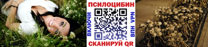 darknet состав  Кизляр  Псилоцибиновые грибы Psilocybe 
