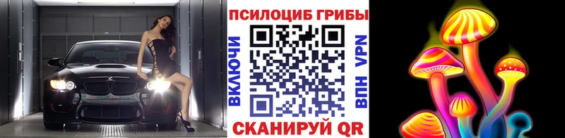 Псилоцибиновые грибы MAGIC MUSHROOMS Кизляр